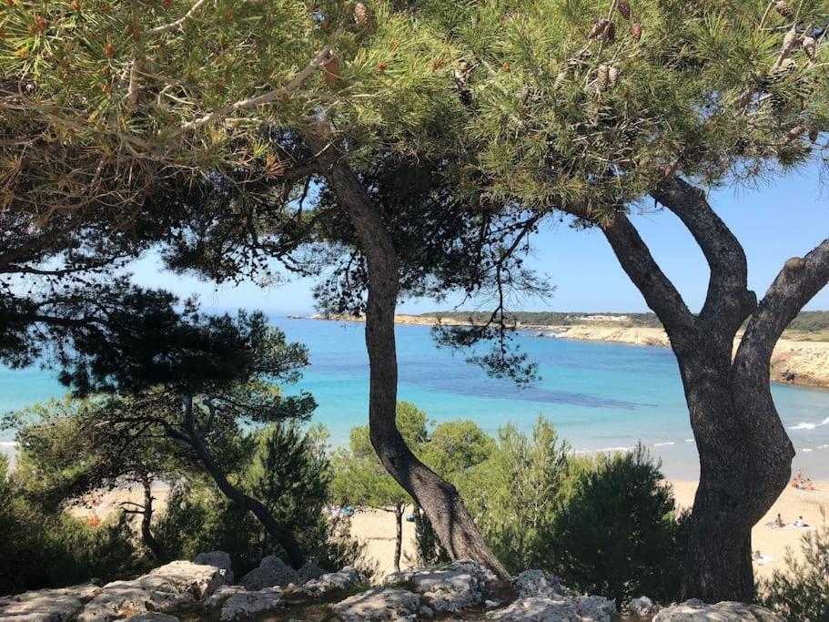 Mazet Provencal Au Coeur Des Alpilles La Reverie Maussane-les-Alpilles Exterior photo